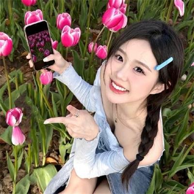 鹿枫堂四色日和2022